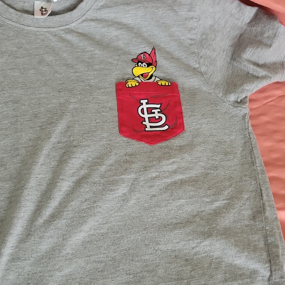Kids Gray and Red T-Shirt